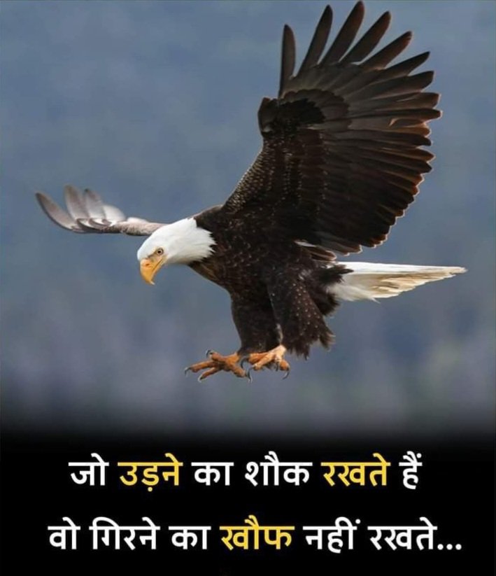 Stylish 💕 😘 Shayari Attitude❤ Hindi 😎